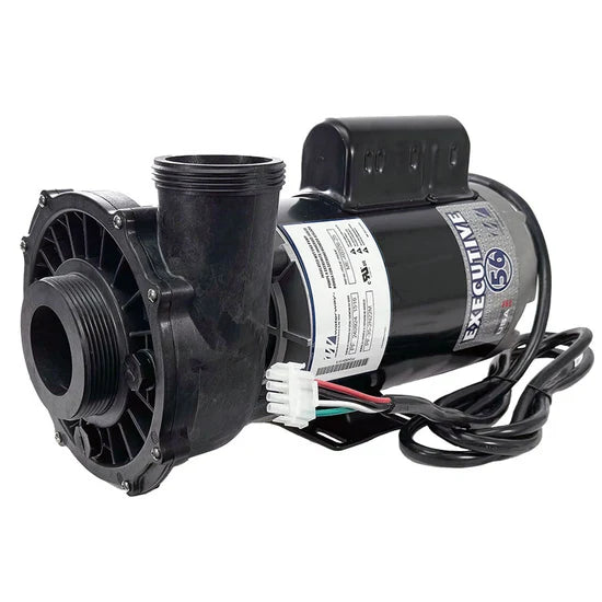 Waterway 4HP 2-speed spa pump (PAK-213050)