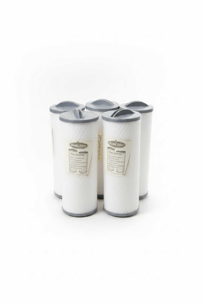 Silver Sentinel Thread-In Hot tub filters 5 pack