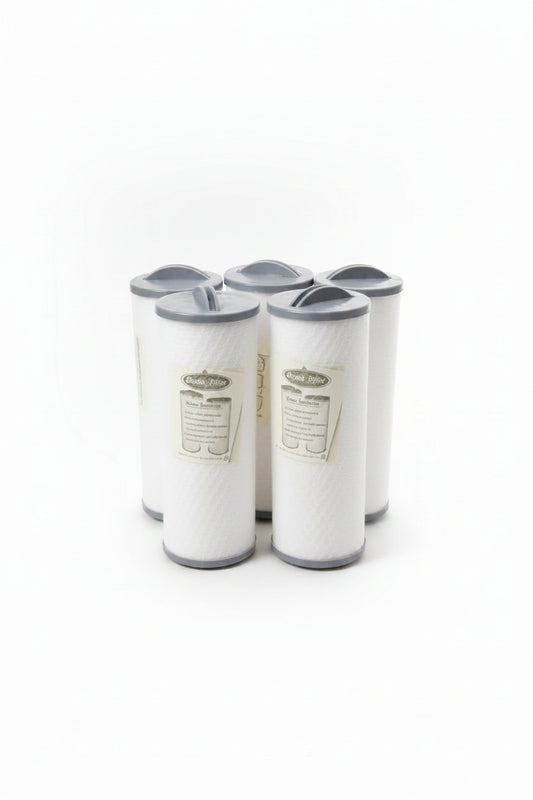 Silver Sentinel Thread-In Hot tub filters 5 pack